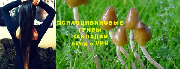 стаф Надым