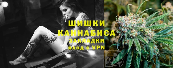 стаф Надым