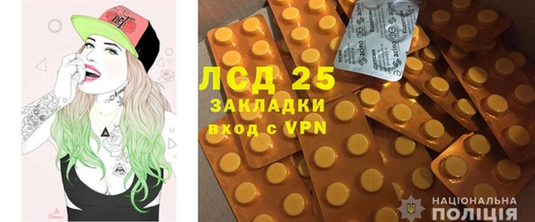 стаф Надым