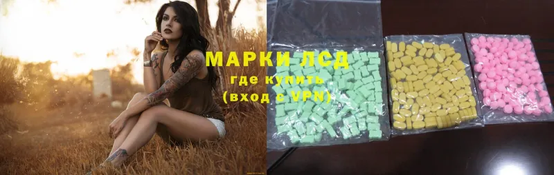 ЛСД экстази ecstasy  купить наркотики цена  Щёкино 