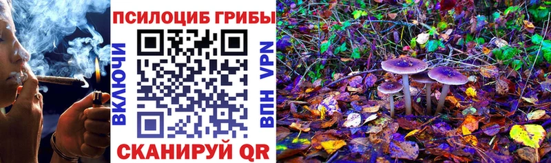 Псилоцибиновые грибы Cubensis Щёкино